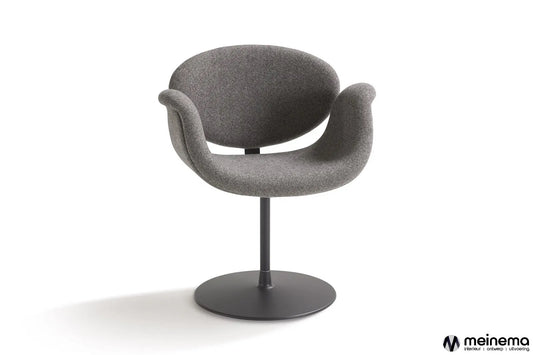 Little Tulip Artifort stoel