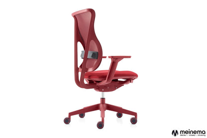 PC B03 Office chair in color