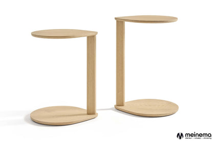 Artifort compass